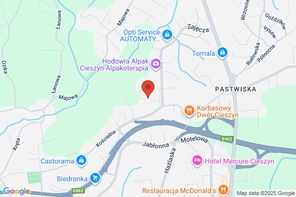 Gagolski Adam. Stolarstwo meblowe