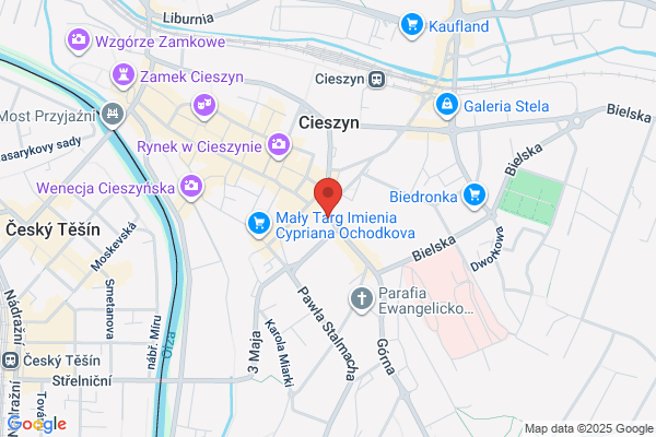 Chelminska-Malysz Grazyna. Pracownia techniki dentystycznej