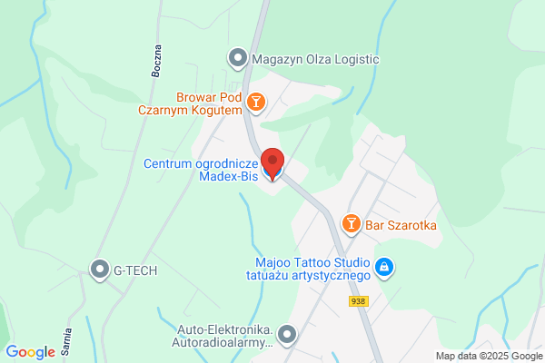 Cedrus. Skurzok A.