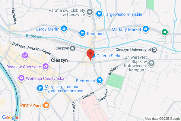 Przedsiebiorstwo Komunikacji Samochodowej w Cieszynie Sp. z o.o.