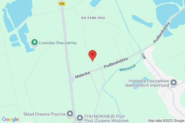 Guzmann-Byrska Elzbieta. Tlumacz przysiegly jez. niemieckiego