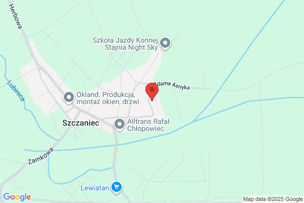 Skibinski T. Naprawa sprzetu RTV