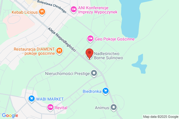 Lesnictwo Machliny. Nadlesnictwo Borne Sulinowo