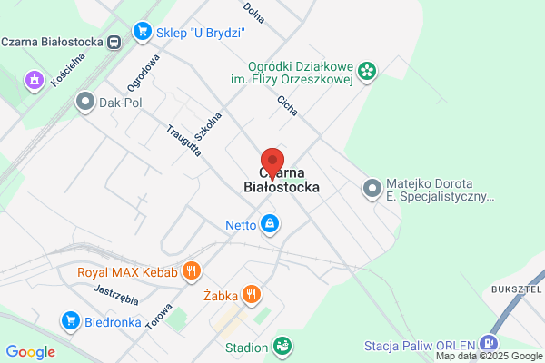 Iwanicki Pawel. Automatyka i serwis