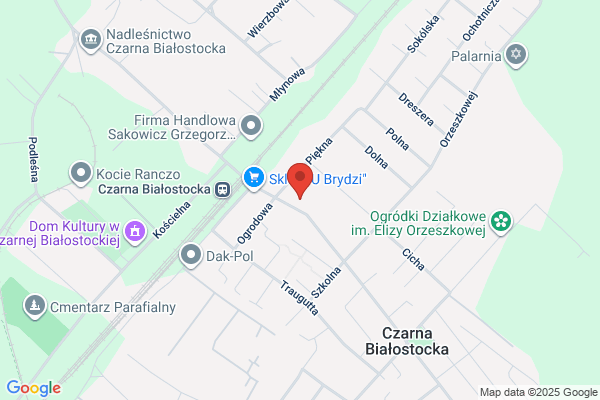 Policja. Posterunek