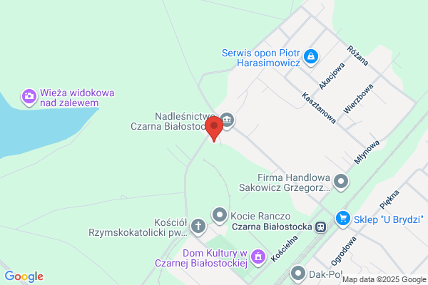 Wyluszczarnia nasion Nadlesnictwa Czarna Bialostocka