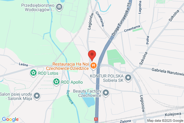 Cholemaster. S.j. Zaklad podzespolów elektronicznych i uslug wielobranzowych. Cholewa L.W.