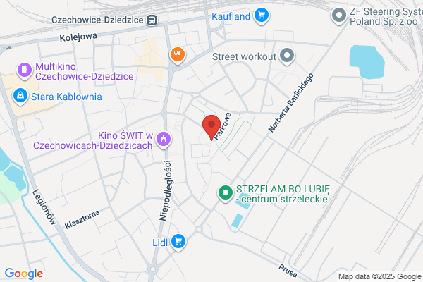 Godziek Roman. Zaklad uslug kominiarskich