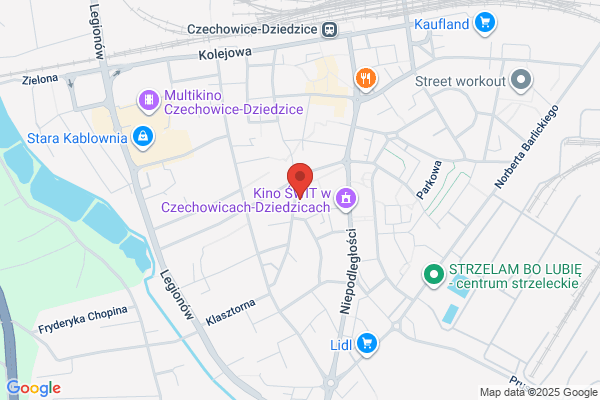 Rogol Pawel. Wideofilmowanie