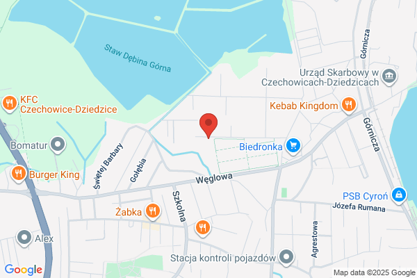 Transport i Wulkanizacja PLTRANS