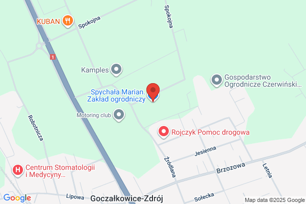 Spychala Seweryn. Zaklad gospodarczy