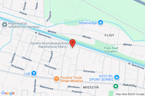 Parafia rzymskokatolicka NMP z Góry Karmel