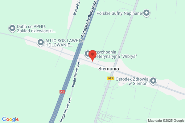 Kwasniak E., Dubiel D., Myszkowski R. Gabinet weterynaryjny SC