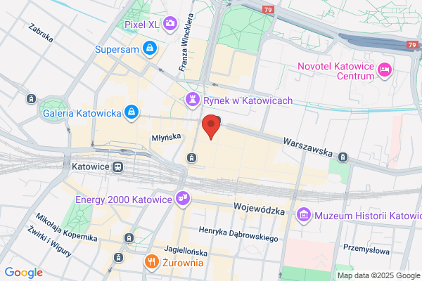 Petsy - domowy hotel dla psów i kotów | Katowice