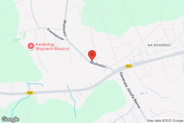 Dzierzega D. Masaz leczniczy i odchudzajacy