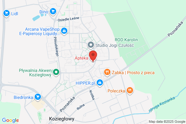 Apteka Lesna. Leki gotowe i recepturowe