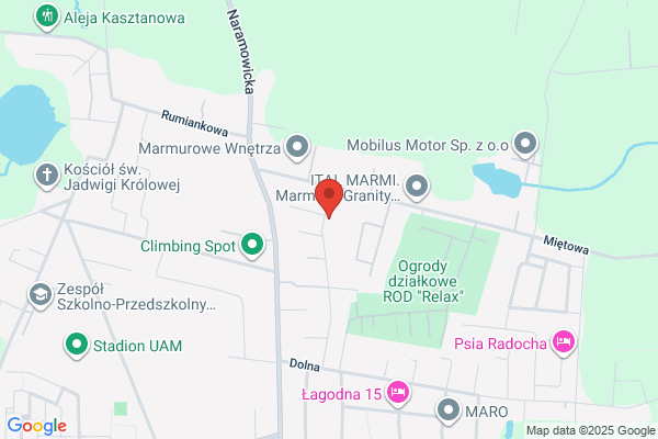 Carrara. S.j. Marmury, granity, konglomeraty. Henicz B.M.
