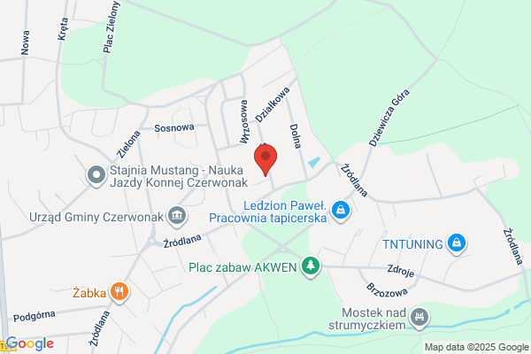 Olszewski Robert. PHU. Autonaprawa