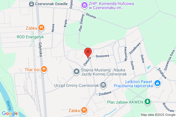 Strzyzenie i pielegnacja psów