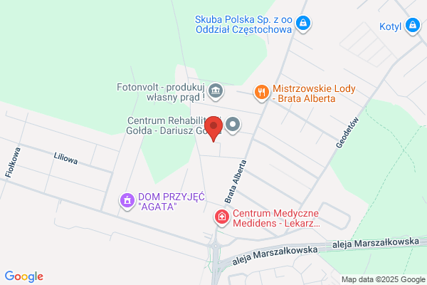 Net Serwis. S.j. Monitorowanie i ochrona
