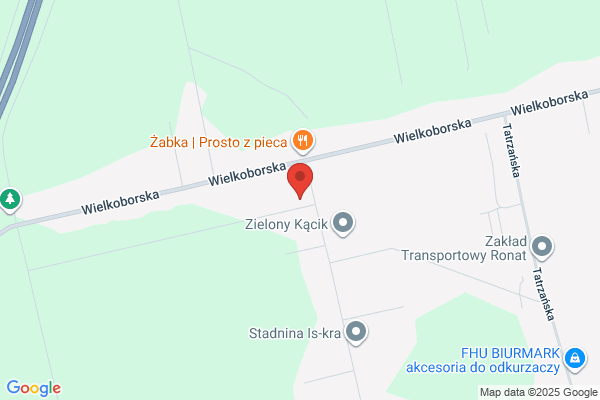 Elpasso. Hurtownia koszul, krawatów. Trzepizur M.