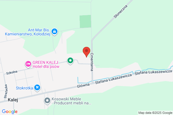 Parafia rzymskokatolicka NMP Królowej Anielskiej