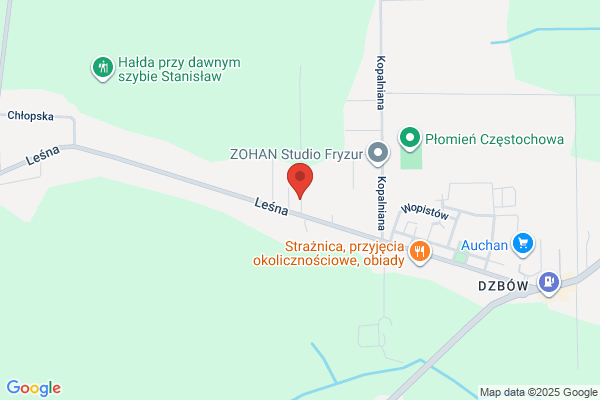 Tomzynski G. Szkólka roslin ozdobnych