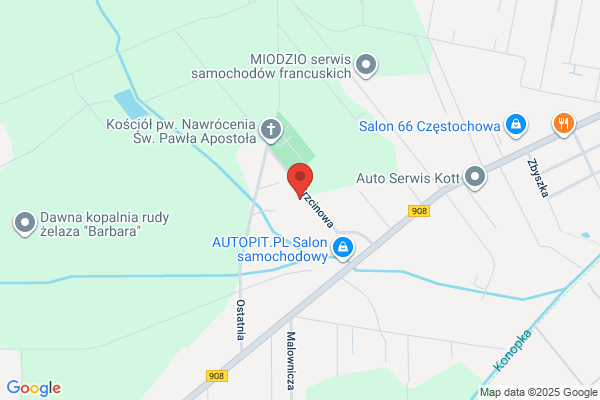 Expres Auto. Mechanika pojazdowa. Pasiuk J.