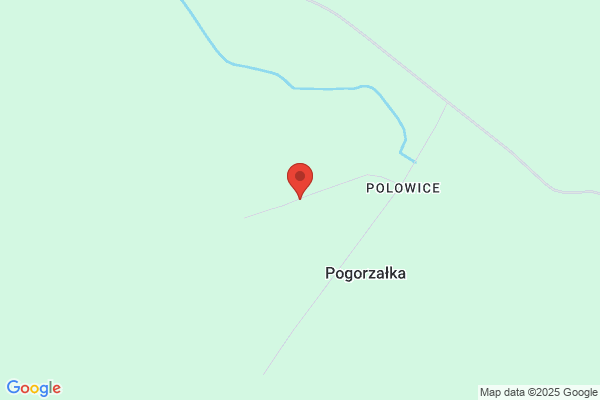 Marzec. Sp. z o.o. Tynki gipsowe na mokro