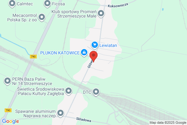 Dominus. Doradztwo finansowe - kredyty. Miroslaw Kozminski