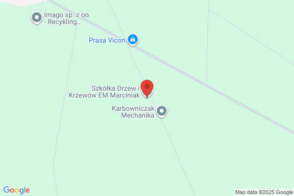 Garczynski Emil. Drzewka, krzewy, tyczki bambusowe