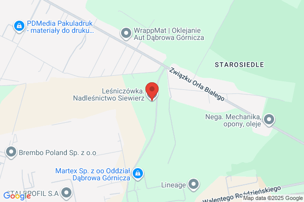 Lesniczówka. Nadlesnictwo Siewierz