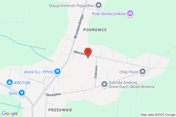 Oddzial Przedszkolny przy Szkole Podstawowej nr 25
