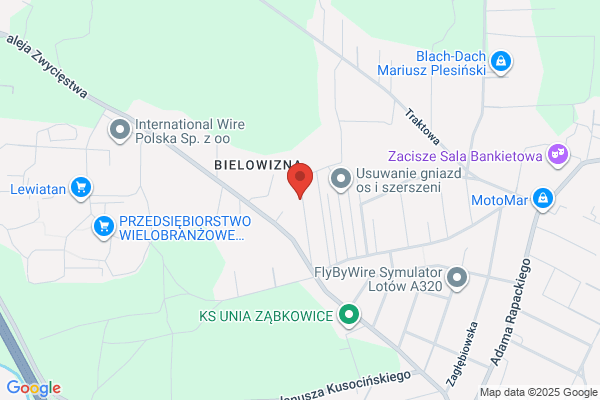 Sokolowski Adam. Przedsiebiorstwo transportowe