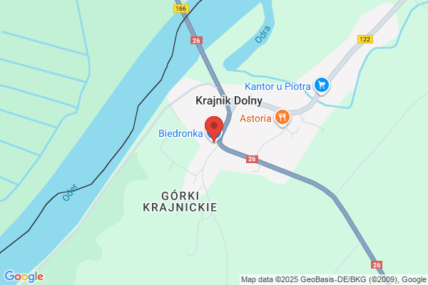 Biedronka. Dyskont spozywczy