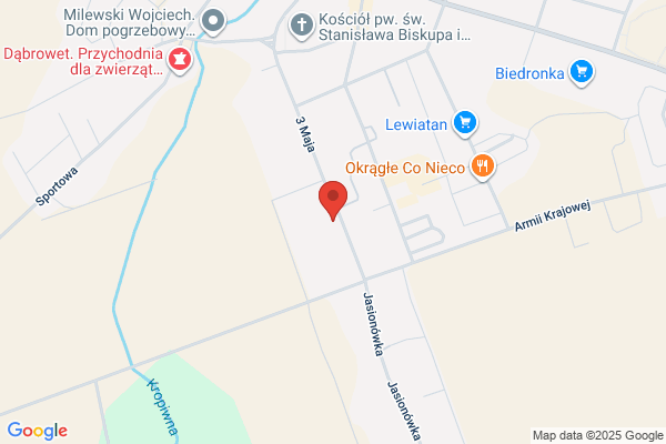 Aster. PW. Antoni Bobryk. Opakowania jednorazowe