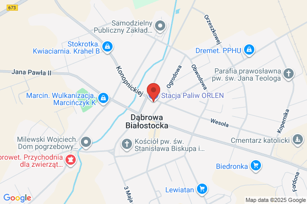 Polski Koncern Naftowy Orlen SA. Stacja paliw