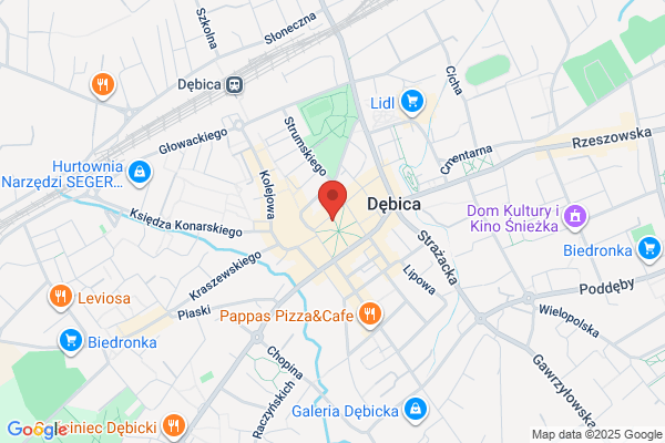 Debica Travel. Biuro podrózy. Kaminski A.