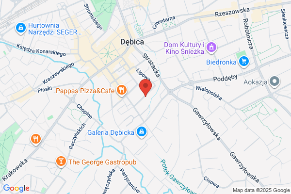 Tabis Grzegorz. Uslugi geodezyjne