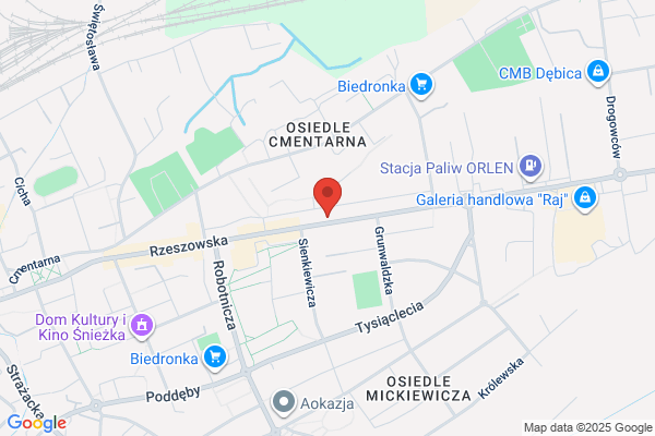 Domowa Spizarnia. Rzeznik S.