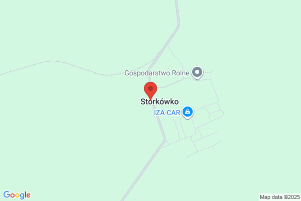 Polniaszek S. Ukladanie parkietów i paneli, cyklinowanie parkietów