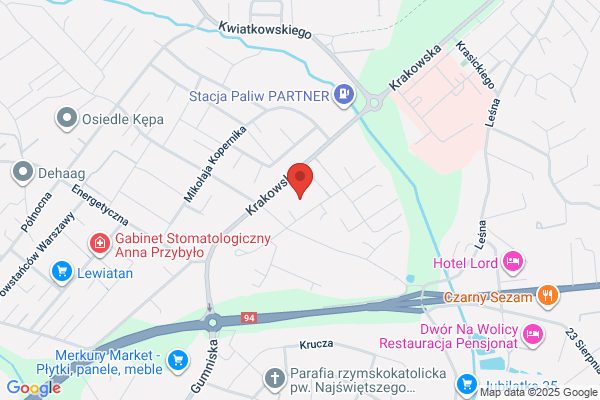 Przybyla Grzegorz. Przewozy krajowe i zagraniczne
