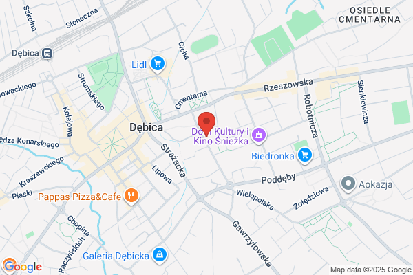 Security. System technicznej ochrony mienia