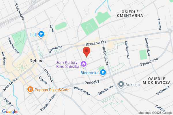 Vena. Firma muzyczna