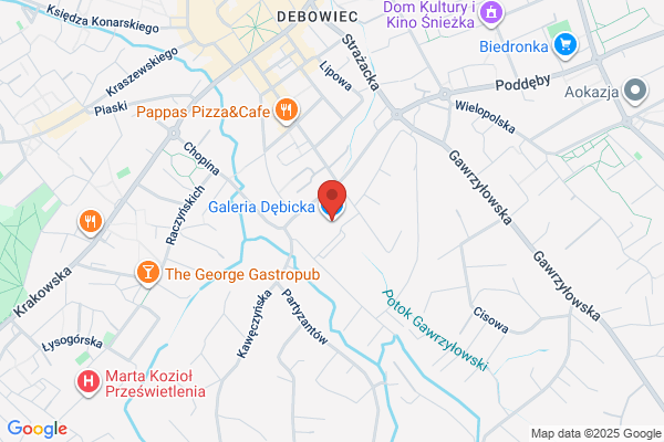 Domaradzka Wladyslawa. Galeria