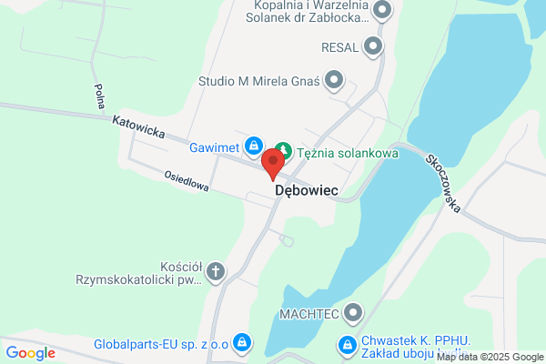 4-Pory Roku. Kotulak S.