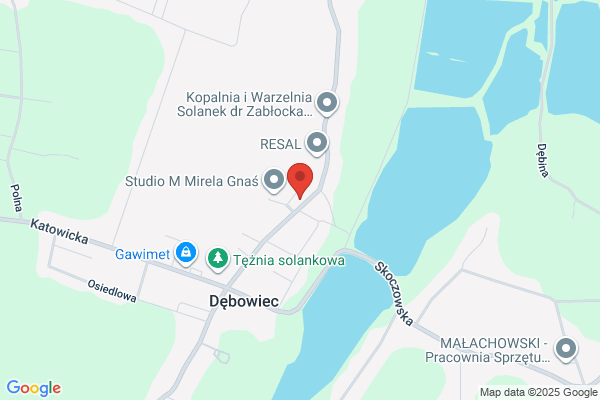 Brzezina Janusz. Mechanika pojazdowa