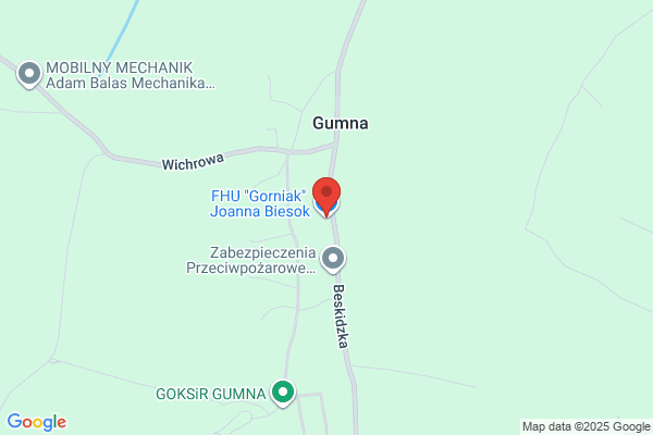 Górniak