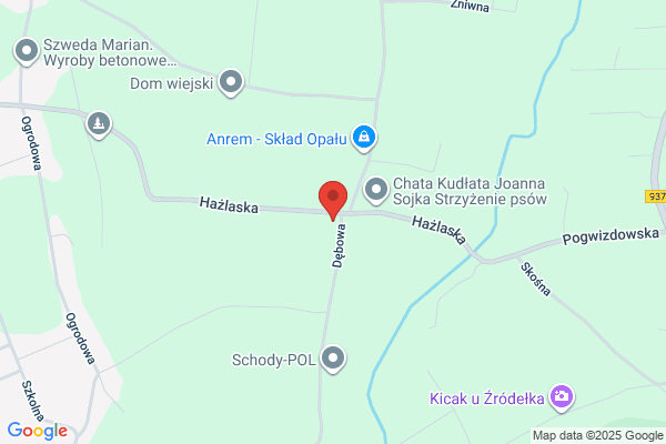 Kaleta Gustaw. Warsztat artystyczny kowalsko - slusarski
