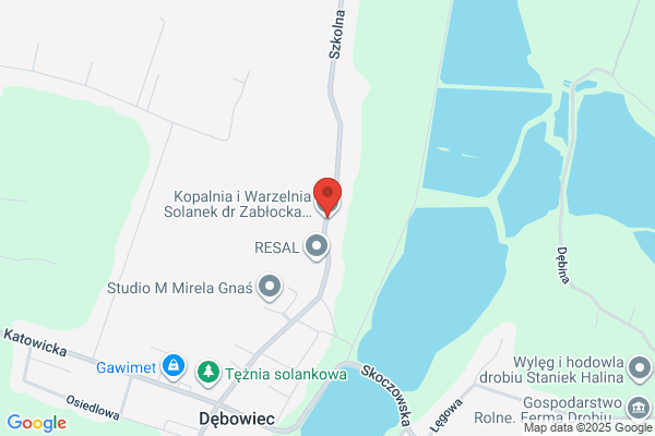 Lokal Serwis. Sp. z o.o. Kopalnia i warzelnia solanek